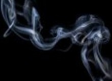 Kwikfynd Drain Smoke Testing
wayatinah